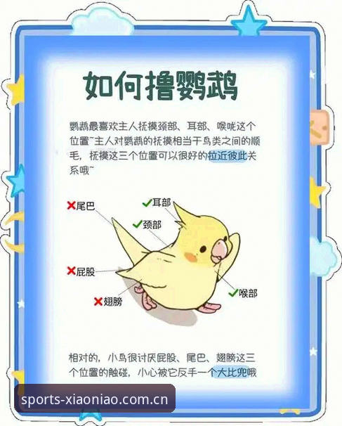 小鸟体育专属之旅 5项核心升级解读:小鸟体育专属之旅如何重塑体育爱好者体验